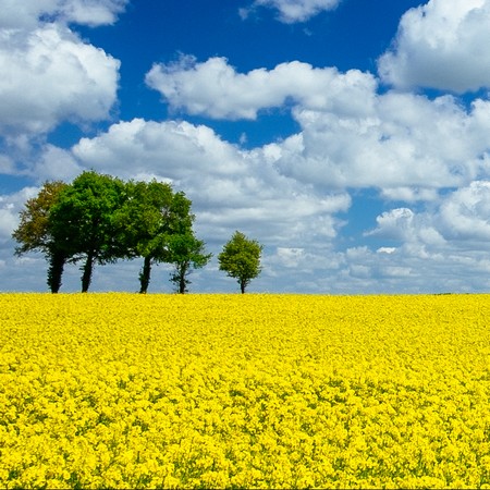 Mon environnement Nouvelle-Aquitaine